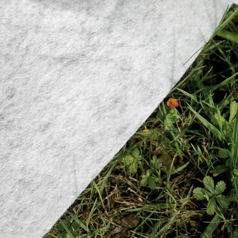 Avantgarde Ovalada 804 X 386 X ↕124 CM - Imagen 8